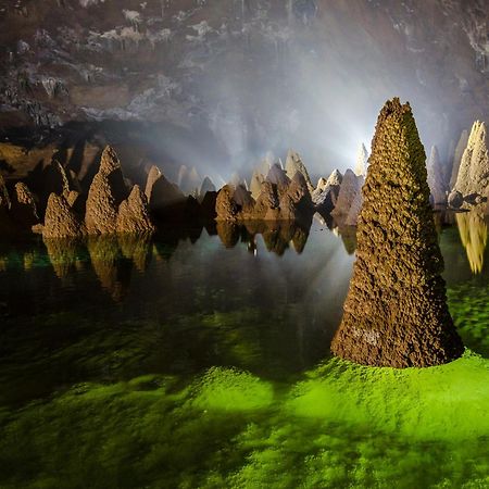 Areca Bungalow Phong Nha Dış mekan fotoğraf