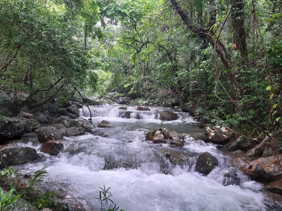 Areca Bungalow Phong Nha Dış mekan fotoğraf